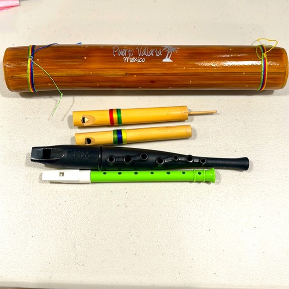 Bundle of 5 instruments. Rainmaker. Slide whistle. Whistle, flute, and recorder - Picture 1 of 9